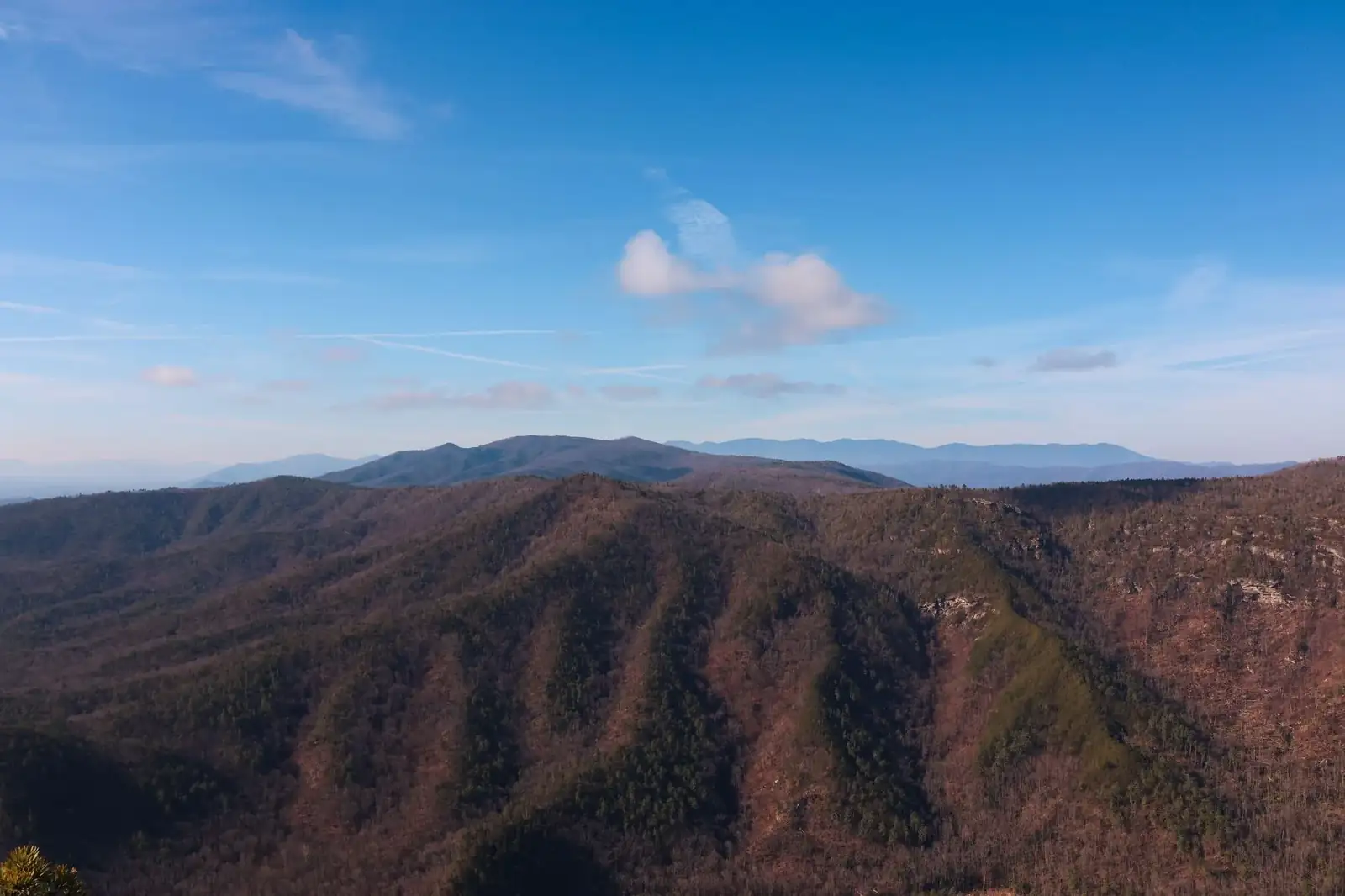 North Carolina