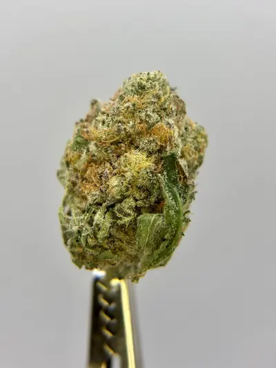 Slurricane