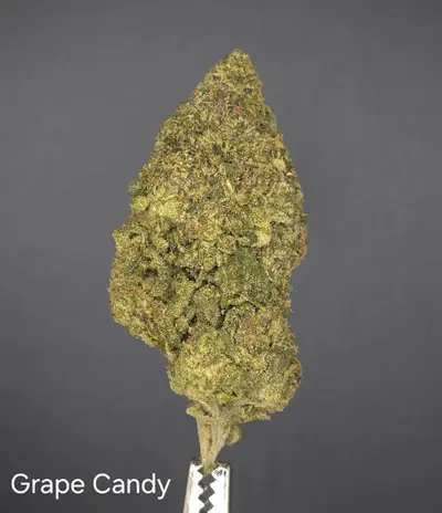 Grape Candy