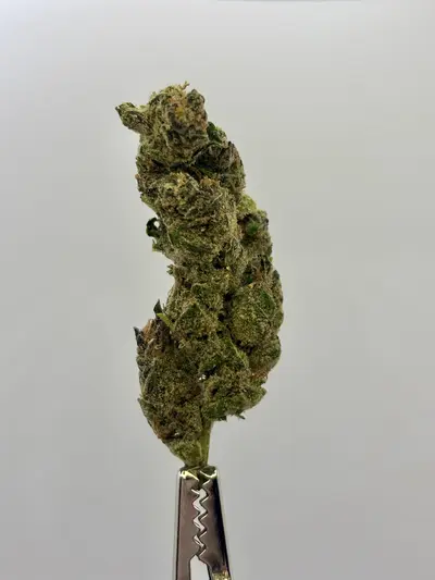 Black Cherry Soda