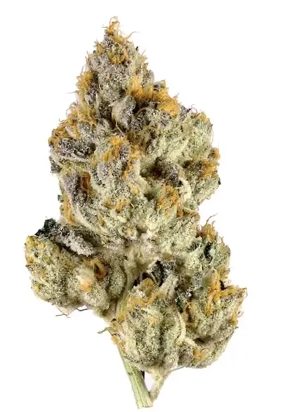 Lemon Cherry Gelato