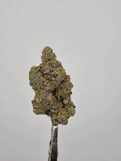 Tangerine Dream
