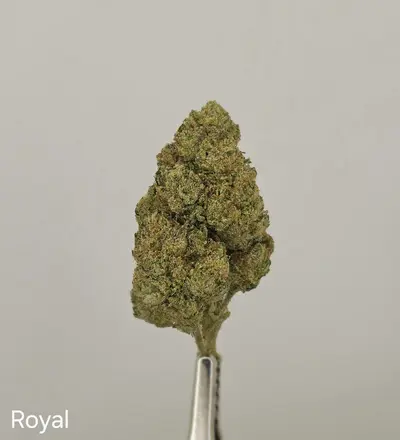 Royal Runtz