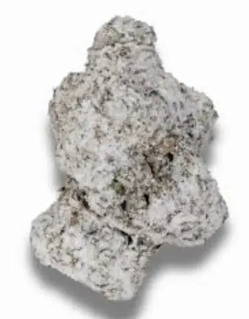 Georgia Pie