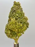 Kush Mintz