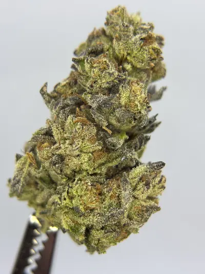 Lava Cake
