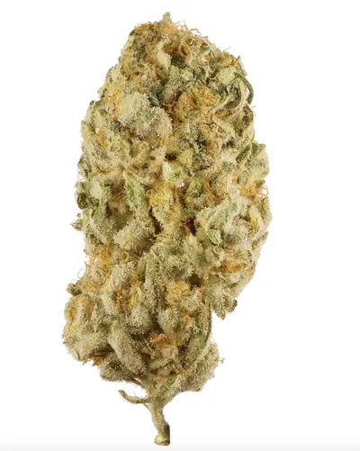 Jack Herer