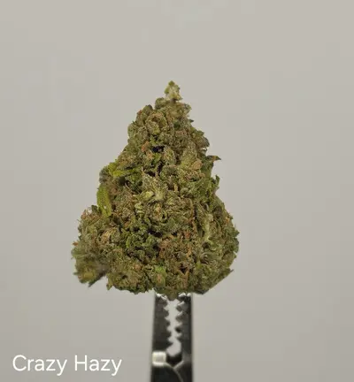Crazy Hazy