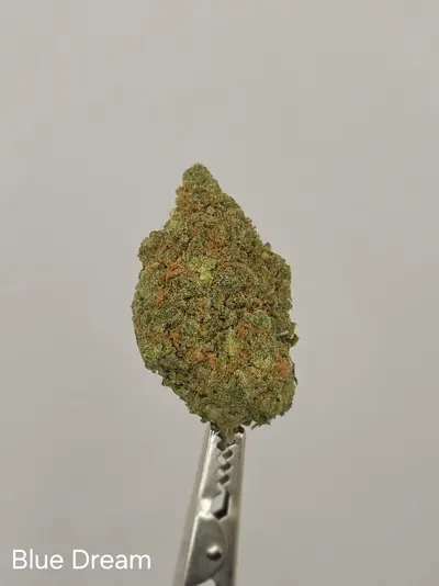 Blue Dream
