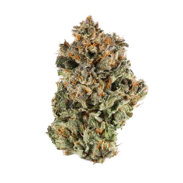 Black Truffle