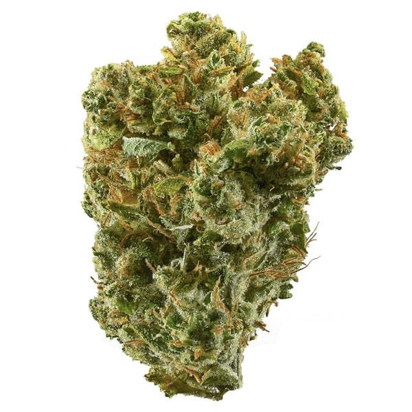 Tangie
