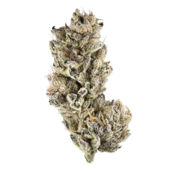 Purple Punch