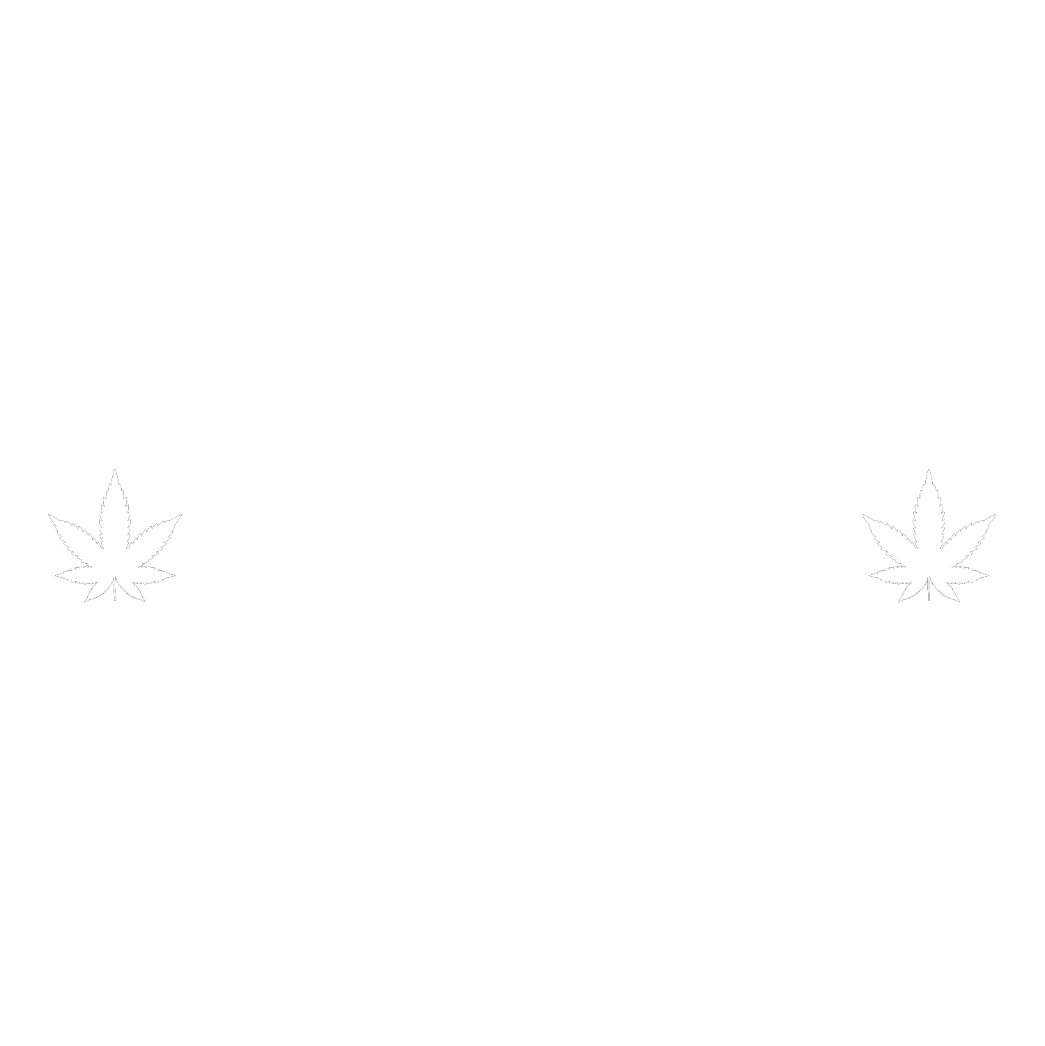 Wilmington Dispensary